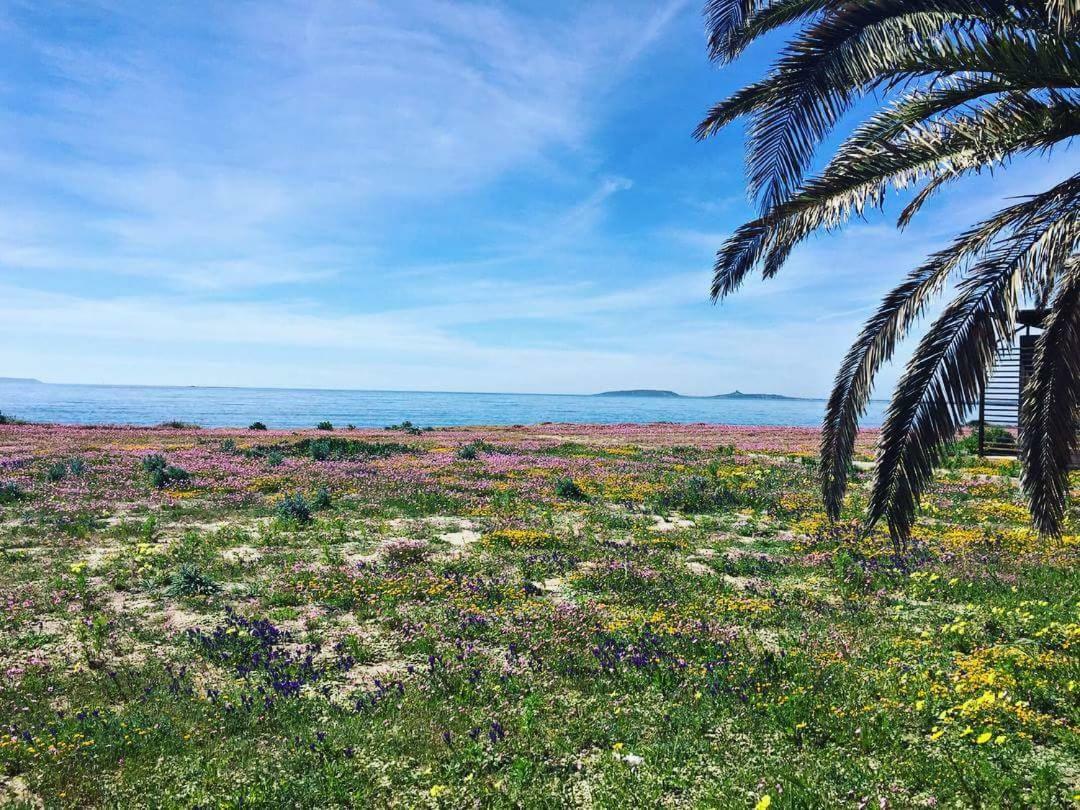 אוריסטאנו Affittacamere Al Mare מראה חיצוני תמונה